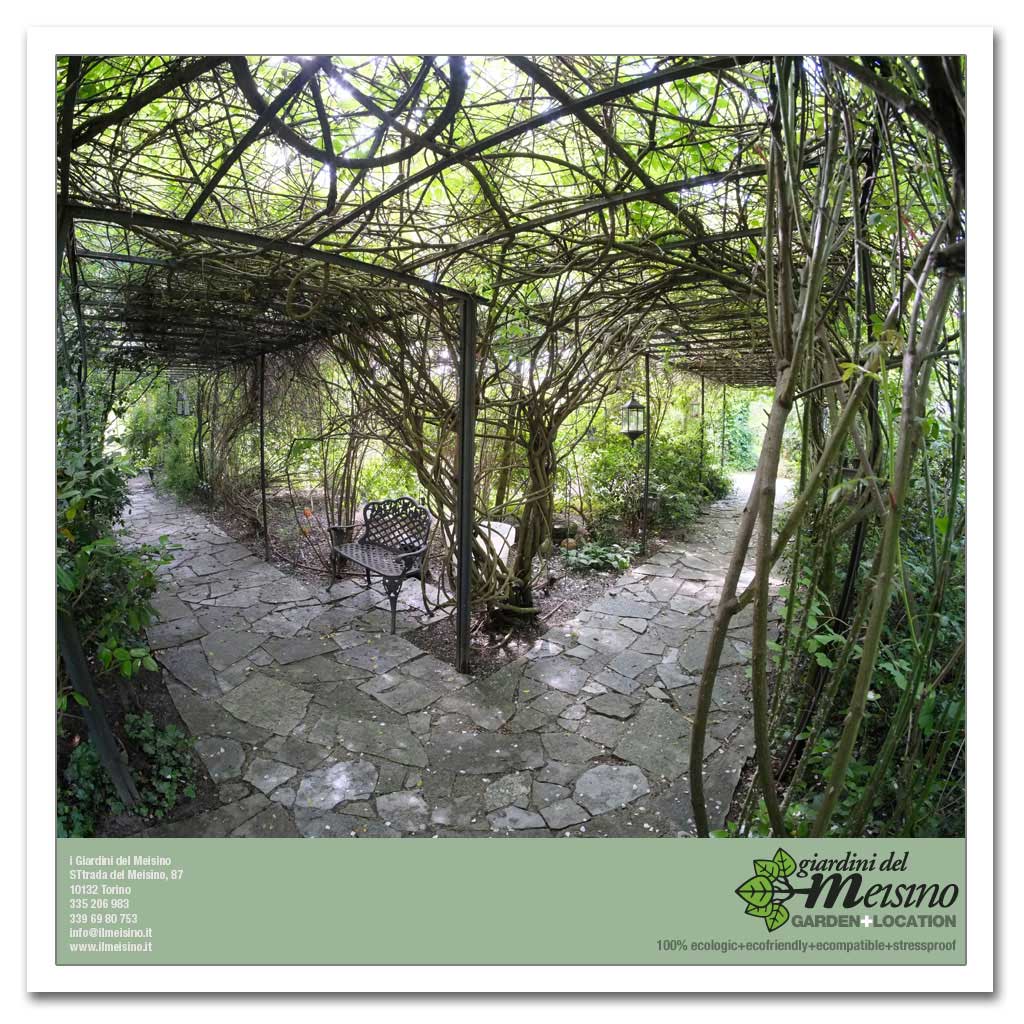 giardini meisino location torino 140